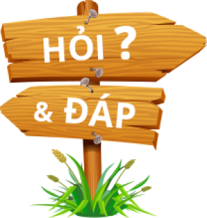 Hỏi đáp