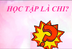 Học tập là chi
